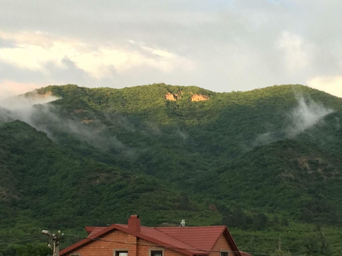 Aragvi Valley Villa Tsitelsopeli Eksteriør billede